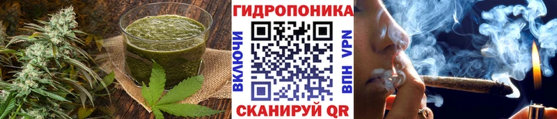 Canna-Cookies марихуана  Кулебаки 