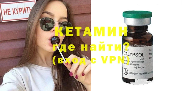 крисы Новодвинск