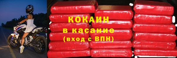 эйфоретик Новокубанск