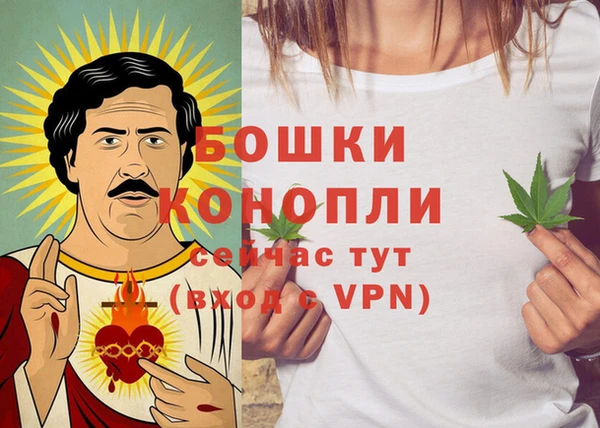 таблы Новозыбков
