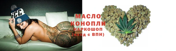 крисы Новодвинск