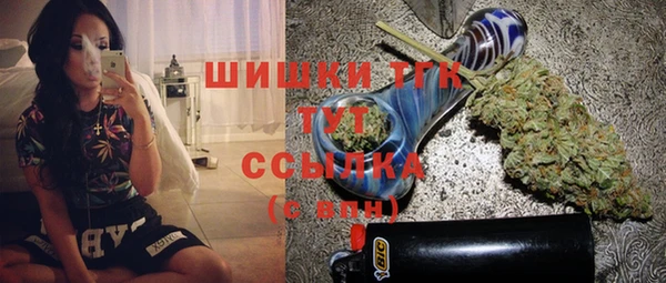 крисы Новодвинск