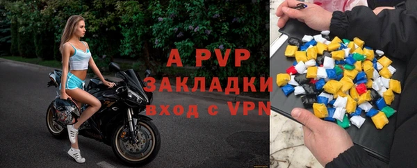 крисы Новодвинск