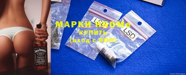 таблы Новозыбков