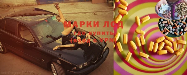 крисы Новодвинск