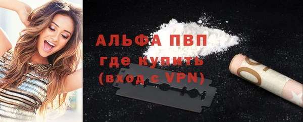 крисы Новодвинск