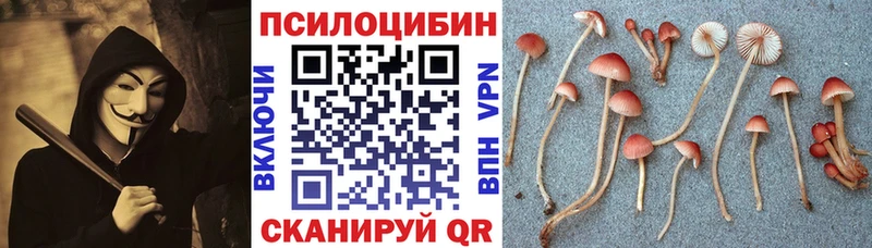 Псилоцибиновые грибы прущие грибы  Кулебаки 