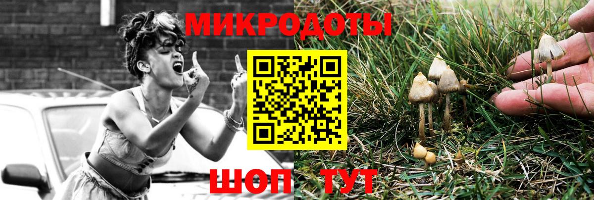 Псилоцибиновые грибы MAGIC MUSHROOMS Кулебаки
